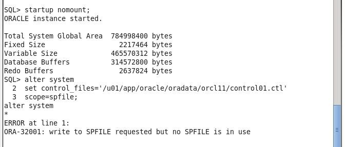 multiplexing controlfiles