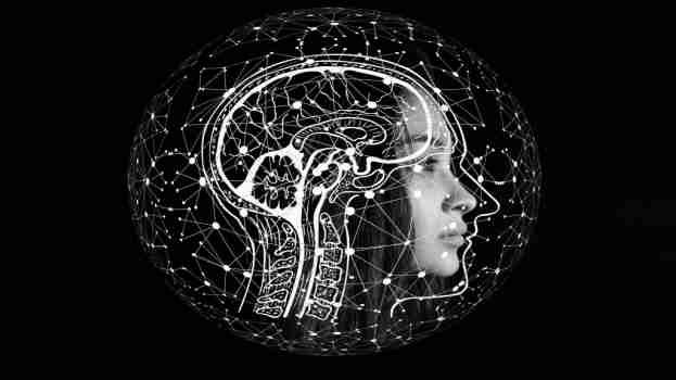 Intelligent, Artificial intelligent