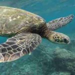 5 rules to be happy in life